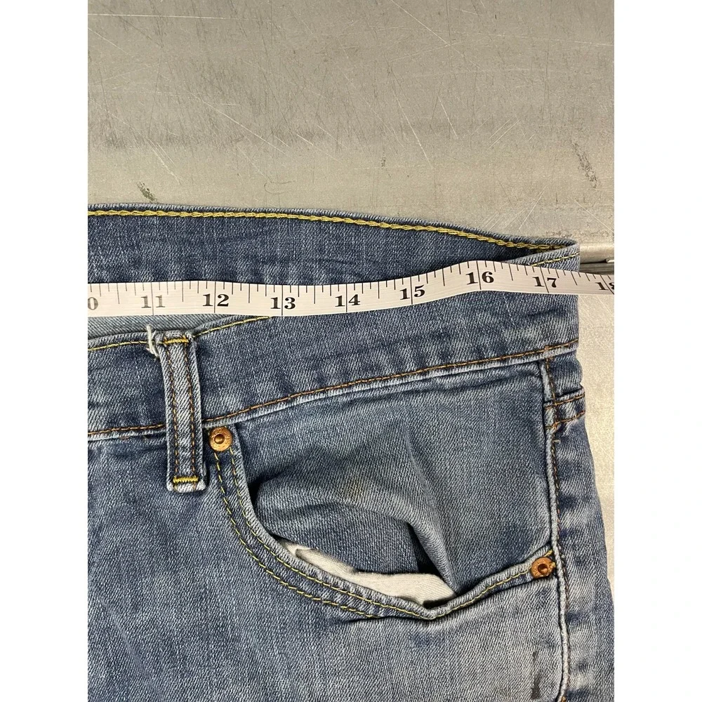 Levis levis 527
